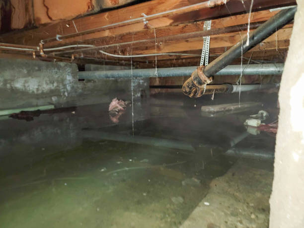 Best Flooded house restoration  in Keenesburg, CO
