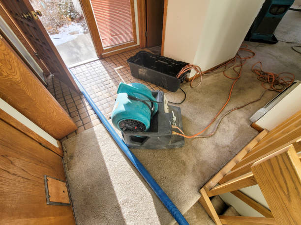 Trusted CO Water damage restoration Experts