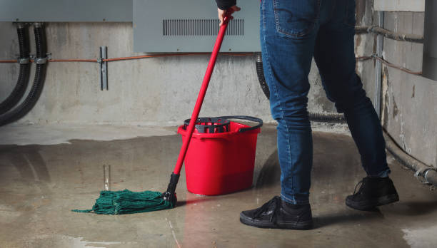 Best Water damage restoration near me  in Keenesburg, CO