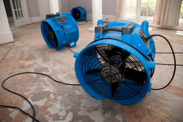 Best Emergency water damage restoration  in Keenesburg, CO