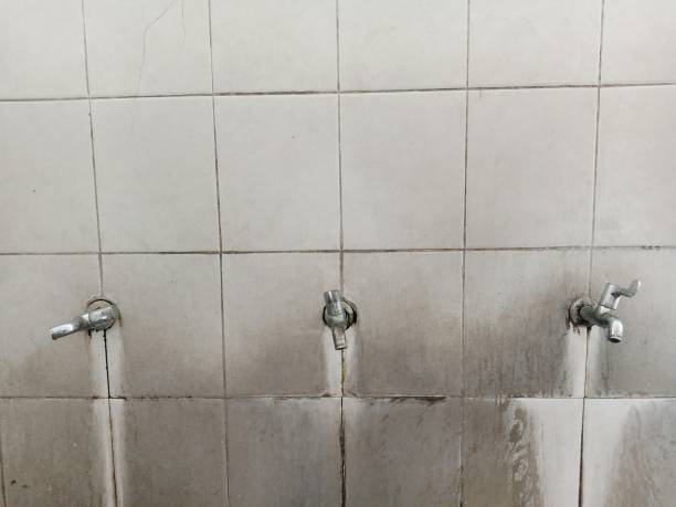Best Flood restoration services  in Keenesburg, CO