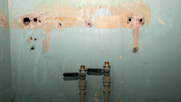Best Professional water damage repair  in Keenesburg, CO