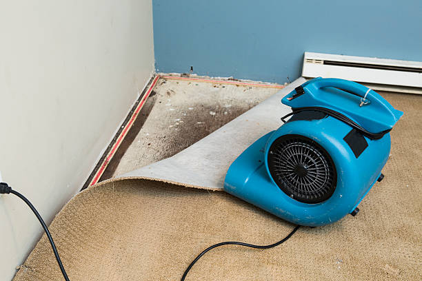 Best 24/7 water damage repair  in Keenesburg, CO